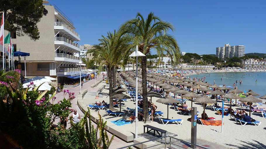 Summer, Sun, Beach, Peguera, Holiday, summer, sun, palm, parasol, mallorca, sea