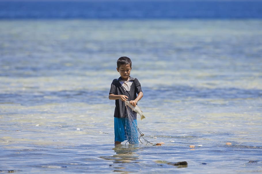 boy, catching, fish, body, water, daytime, fishing, halmahera, widi islands, ami
