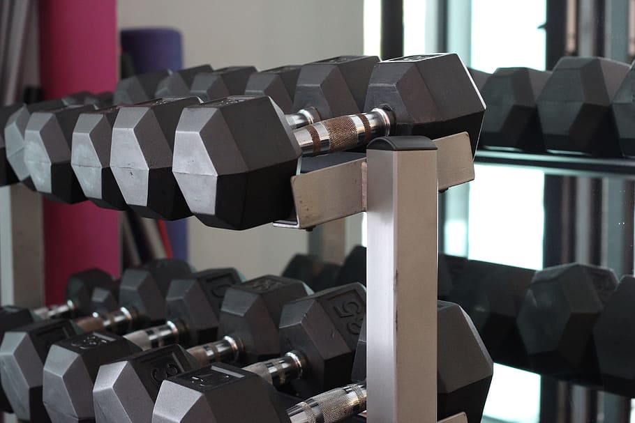 dumbbells, white, rack, fitness, gym, indoors, dumbbell, weights, weight, strength