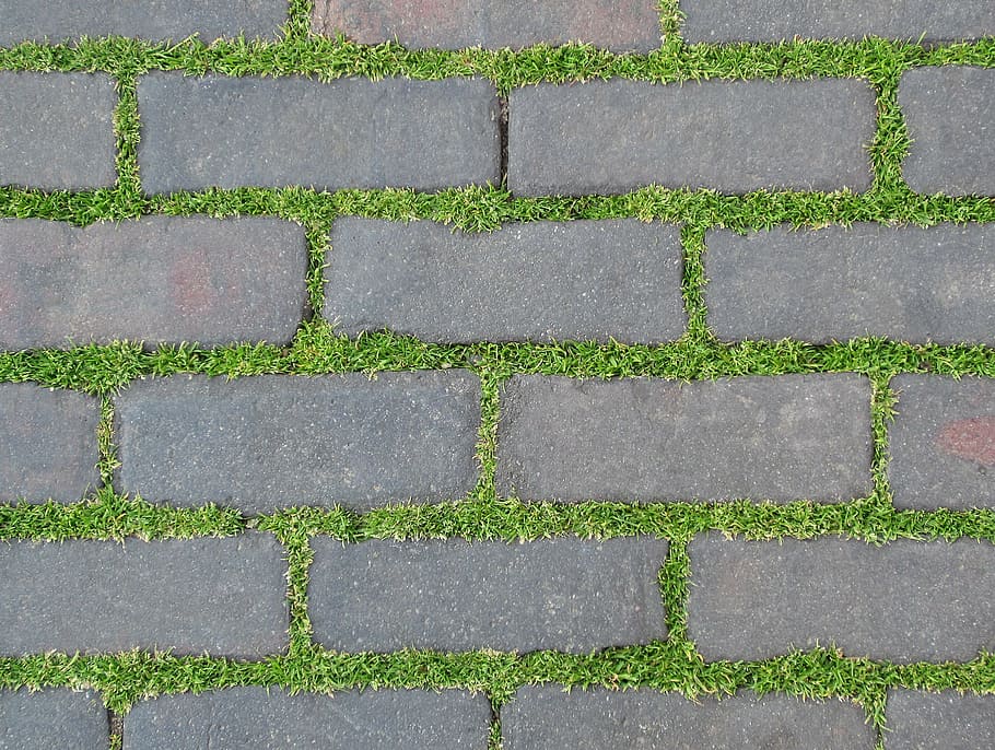 gray, concrete, block pathway, pavement, plant, bricks, nature, grass, green, stone