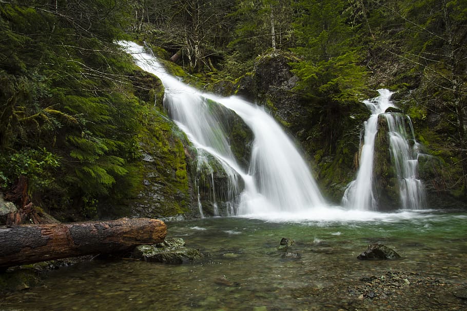 サリバン, クリーク, オレゴン州フォールズ, 昼間の滝, 水, 風景-自然, 森林, 木, 滝, 動き