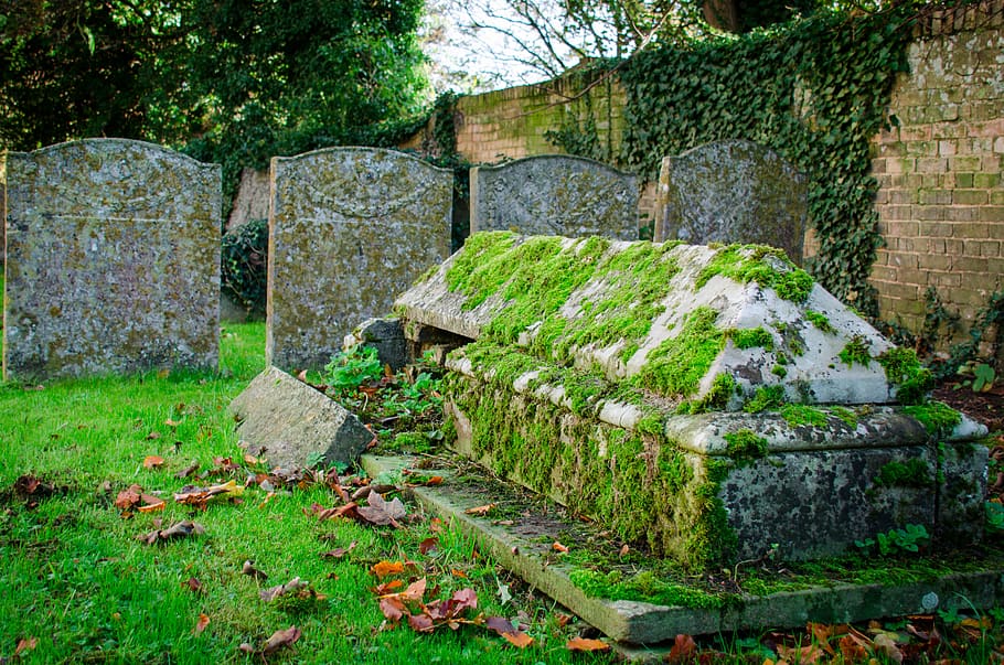 graveyard, graves, headstones, ancient, tomb, mossy, plant, architecture, cemetery, day