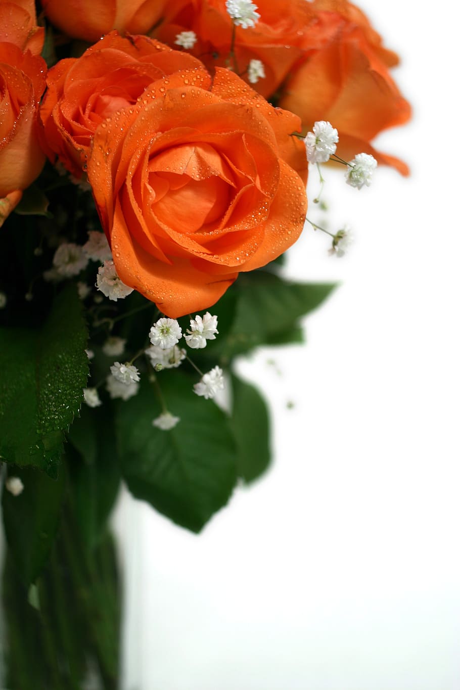 roses, bouquet, wedding, strauss, congratulations, bouquet of roses, rose - Flower, flower, nature, love