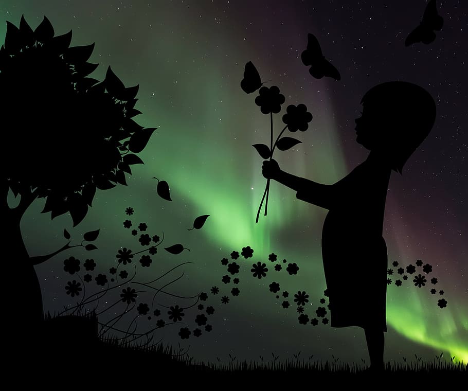 silhouette, girl, holding, flowers, aurora background, child, flower, northern lights, one person, real people