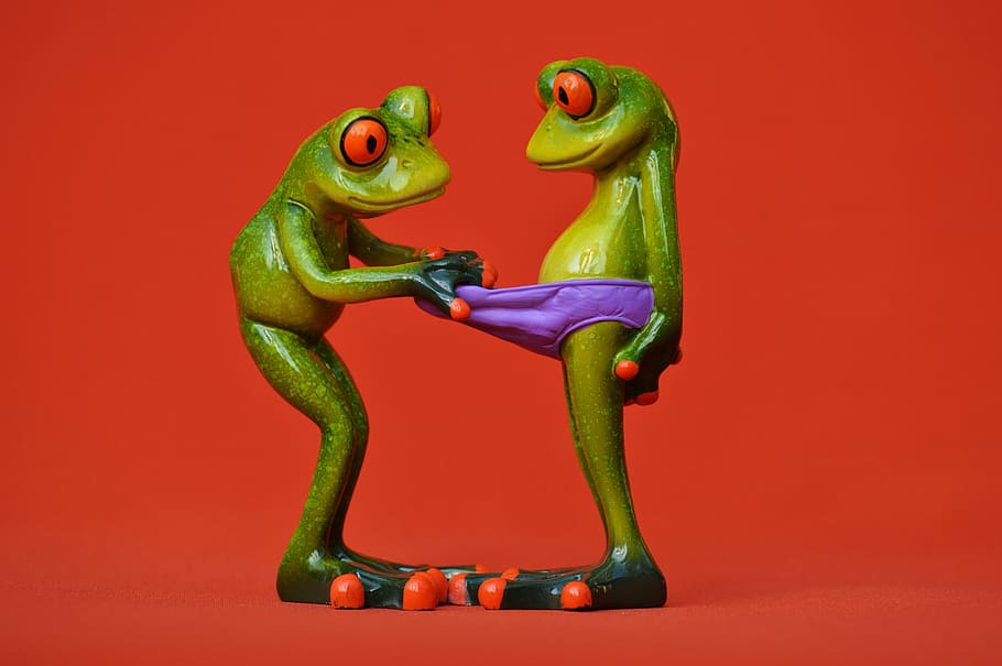frogs, curious, funny, figures, cute, underpants, look, fun, curiosity, frog