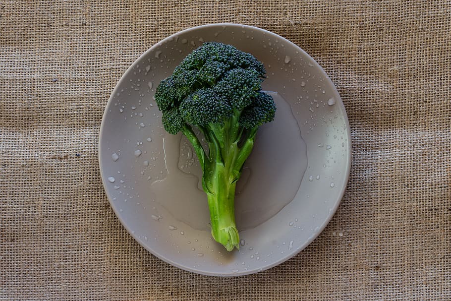 broccoli, vegetable, plate, still life, close up, food, healthy, dish, diet, vegetables