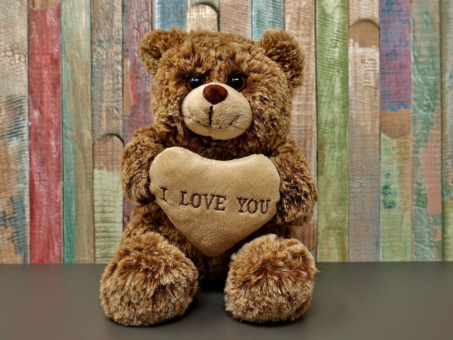 brown, bear, plush, toy, teddy, love, romance, sweet, cute, soft toy