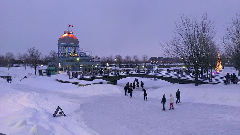 seluncur es, gelanggang es, musim dingin, gelanggang es seluncur es, Montreal, Quebec, Kanada, foto, orang-orang, domain publik