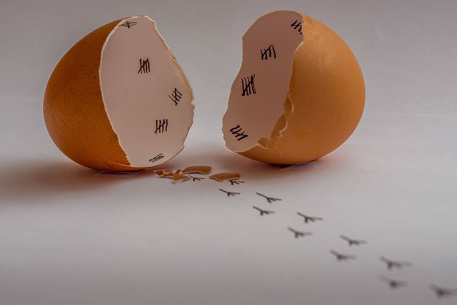 cracked, empty, egg, bird footprints, white, surface, food, still life, eggshell, hen's egg
