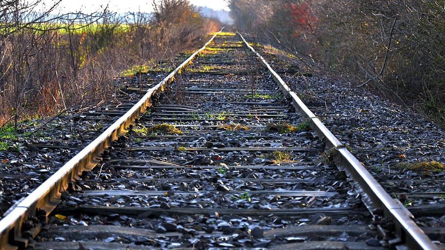tracks, abandoned, rot away alongside, rail transportation, railroad track, track, transportation, the way forward, direction, diminishing perspective