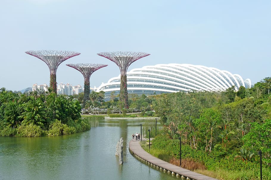 people, walking, wooden, dock, white, stadium, distance, Singapore, Marina, Bay, Gardens
