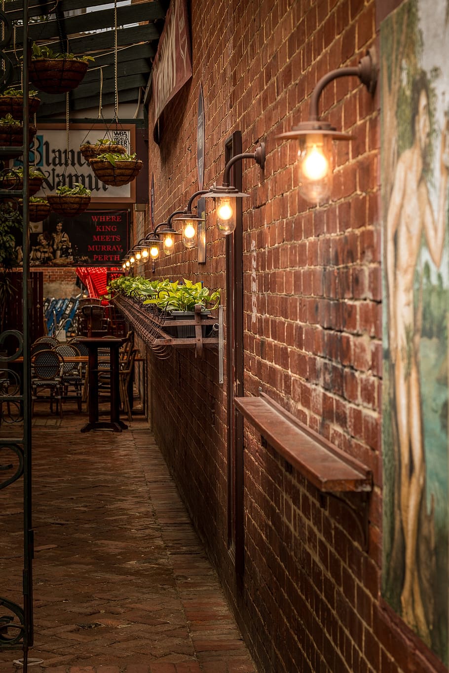 carril, luces, anticuado, pared de ladrillo, mural, plantas, restaurante callejero, urbano, noche, callejón