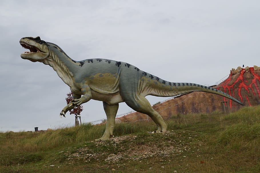 exibição t-rex, verde, campo de grama, t rex, tiranossauro, tiranossauro rex, dinossauro, perigoso, predador, carnívoros