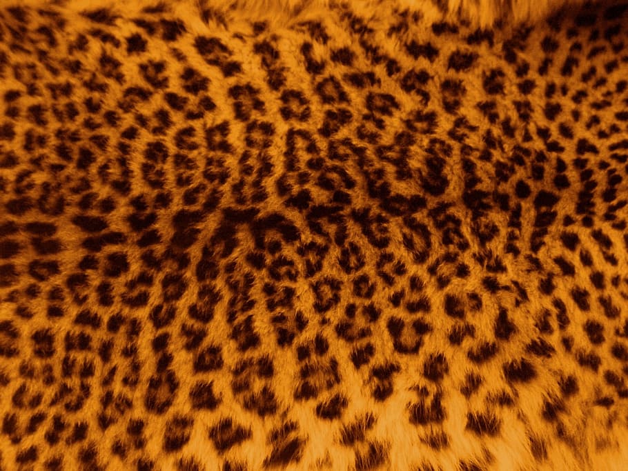 brown, black, leopard pattern illustration, leopard, skin, fur, pattern, print, cat, textile
