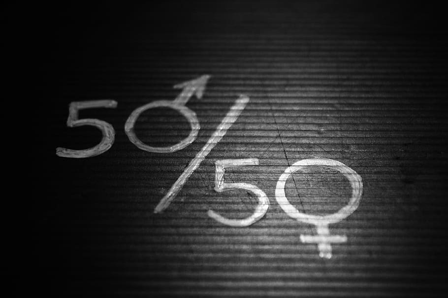 foto grayscale, 50/50 teks, wanita, kesetaraan, hari perempuan internasional, perempuan, perayaan, feminitas, papan tulis, pendidikan