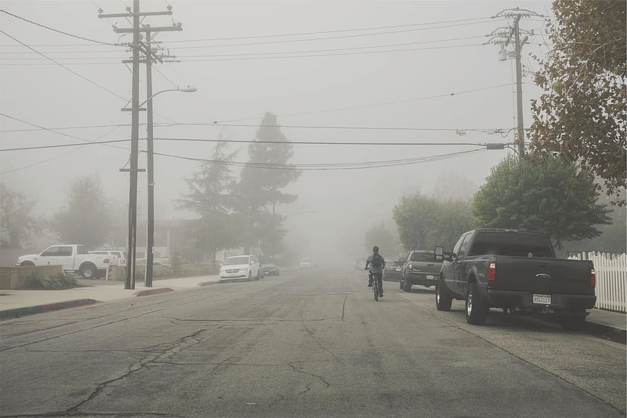 street, pavement, fog, bicycle, bike, cyclist, trucks, vans, sidewalk, power lines