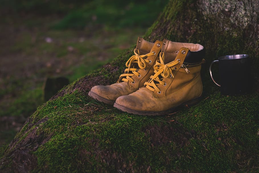 par, marrón, botas de cuero de timberland, base de árbol, zapatos, zapatos de senderismo, senderismo, viejo, desgastado, usado