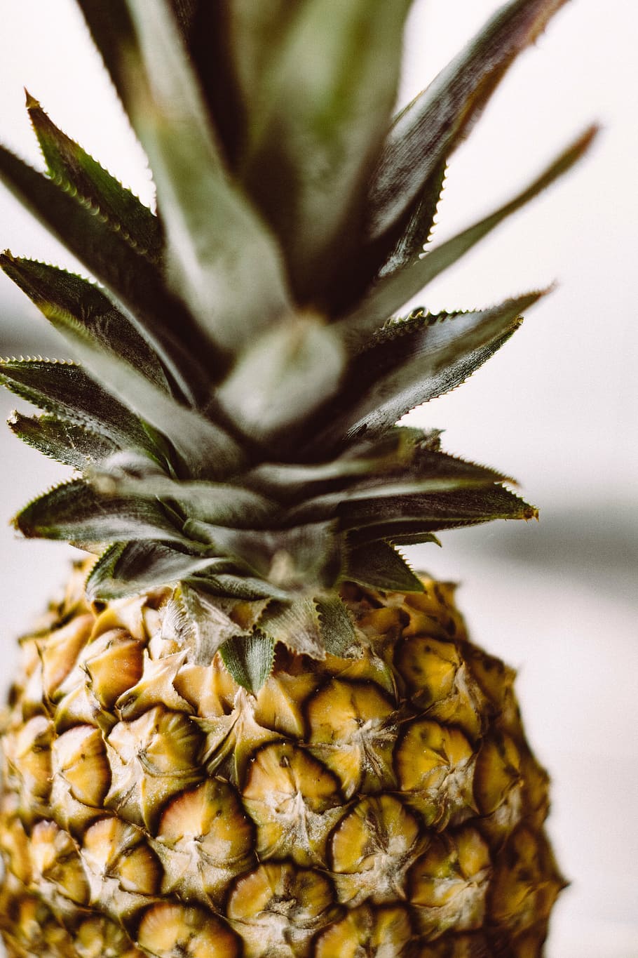  Tropical fruit dessert with fresh pineapple, coconut, and mango slices