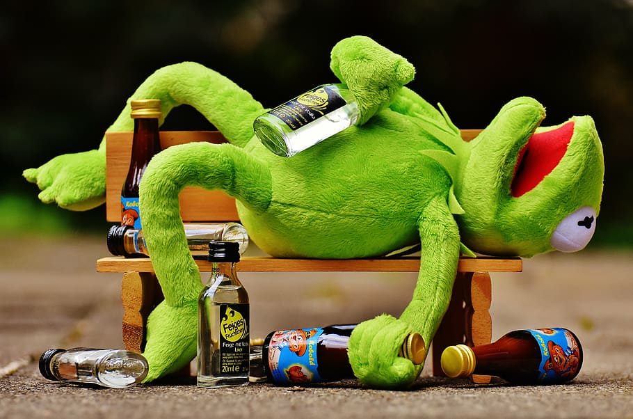 kermit, frog, glass bottles, lying, wooden, bench, drink, alcohol, drunk, bank