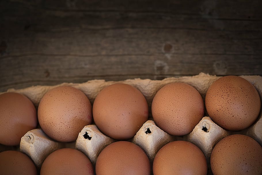 tutup, melihat, baki, asli, telur, telur ayam, kotak telur, bungkus, makanan, nutrisi
