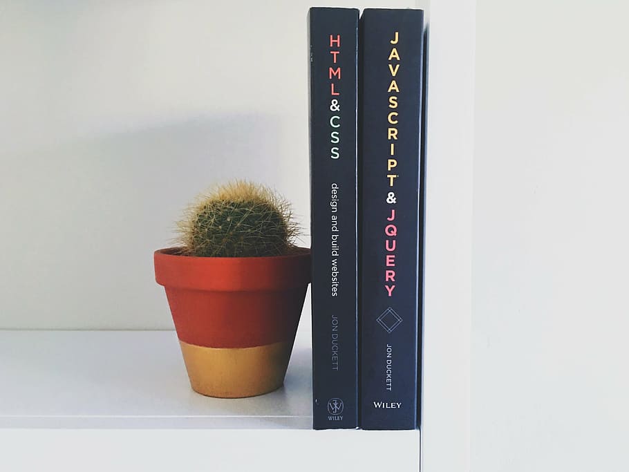 two, black, covered, book, green, cactus, plant, html, css, javascript