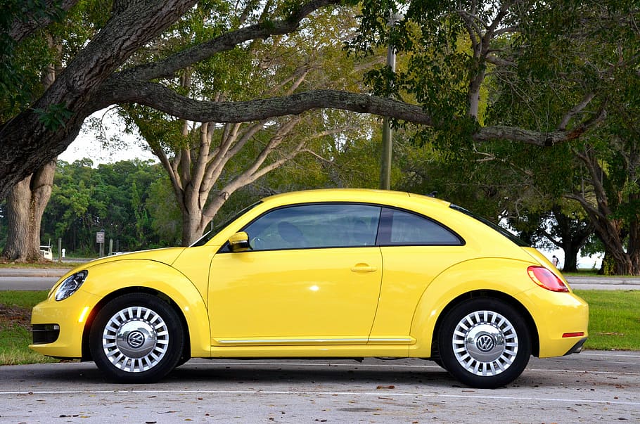 amarillo, volkswagen, nuevo, escarabajo cupé, coche amarillo, parque, árboles, verde, florida, estacionamiento