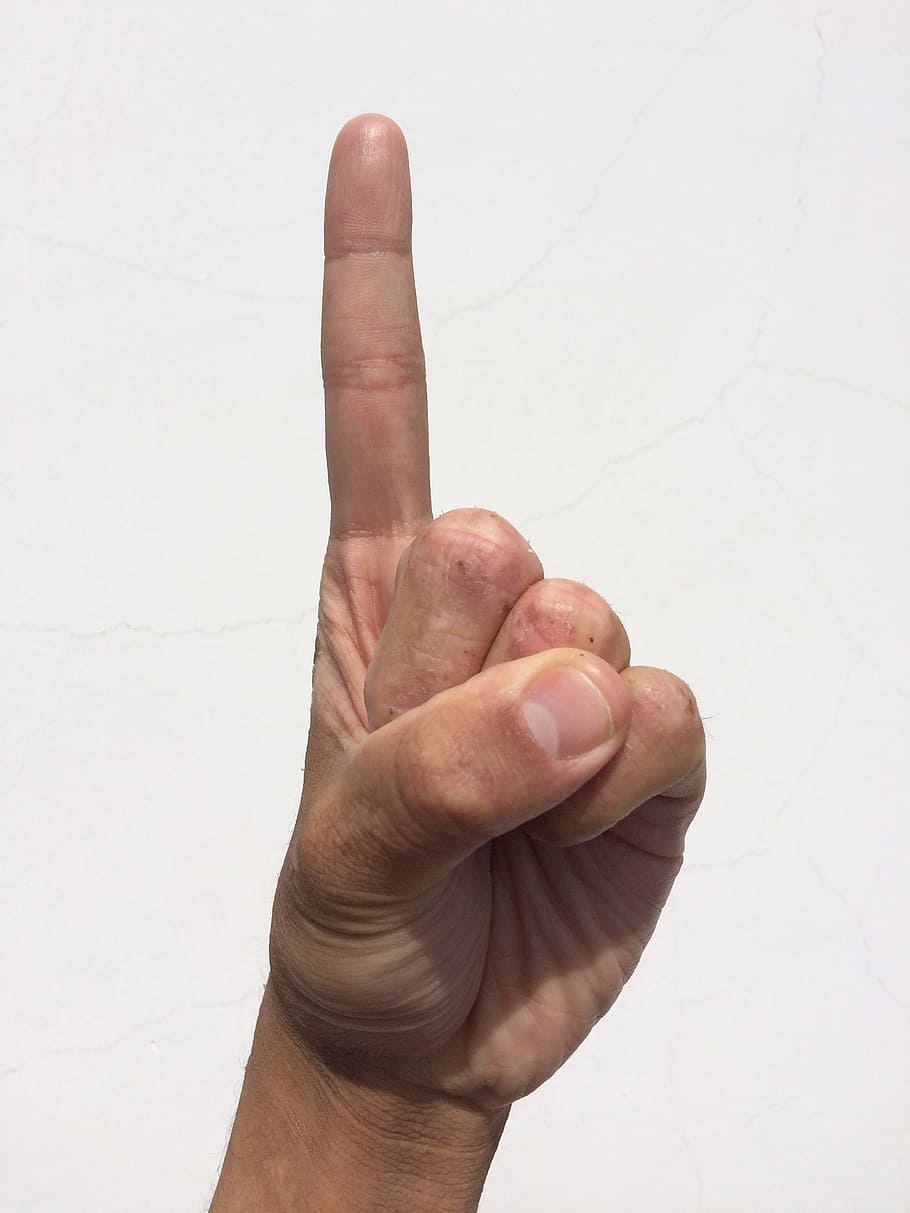 esquerda, mão, mostrando, sinal da mão do ventilador, mão esquerda, ventilador, sinal da mão, palma, dedo, unha