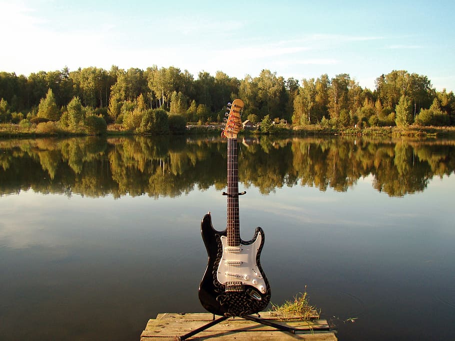 white, black, electric, guitar, standing, upright, front, body, water, lake