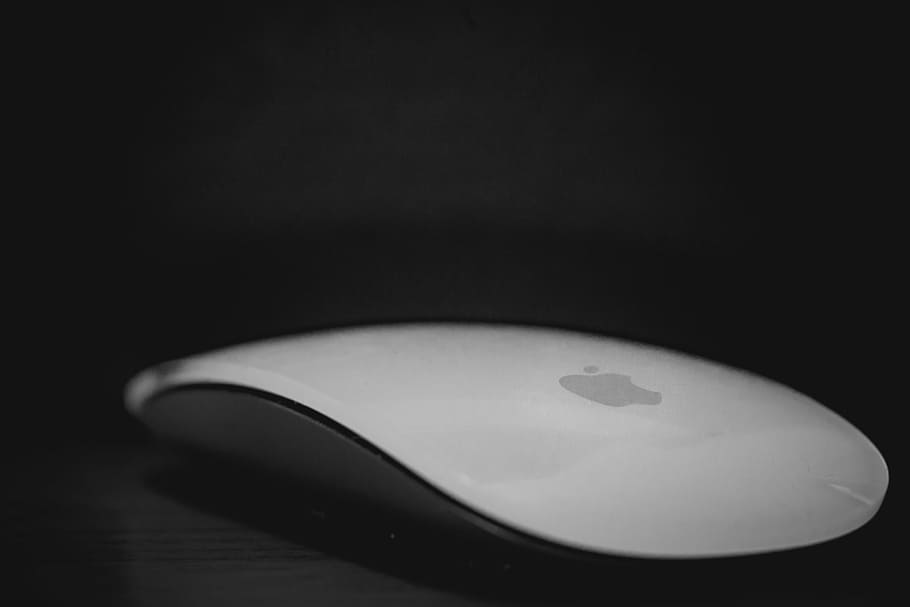 apple magic mouse, gray, surface, close, apple, magic, mouse, business, technology, black and white