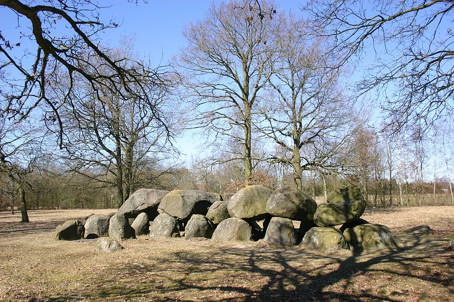 dolmen, prehistory, tree, plant, bare tree, nature, sky, day, field, landscape