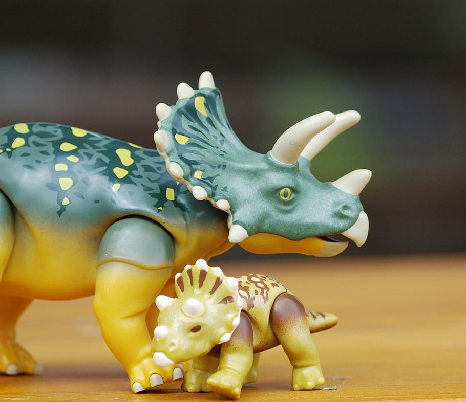 two, triceratops plastic figures, dino, triceraptos, dinosaur, replica, mother and child, playmobil, play, animal