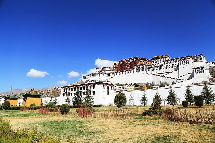 istana potala, lhasa, tibet, langit biru, keagungan, khidmat, agama Budha, arsitektur, struktur yang dibangun, eksterior bangunan
