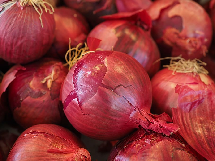 red, onion, onions lot, red onions vegetables, vegetable onion, market, vegetables, food, violet, shell