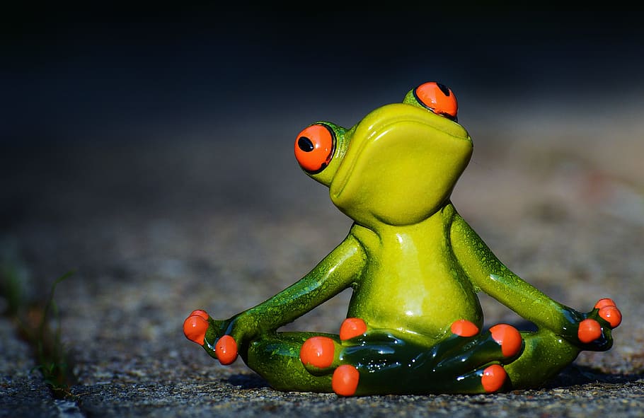 tiltshift lens photo, green, frog figurine, yoga, frog, relaxed, figure, funny, rest, relaxation