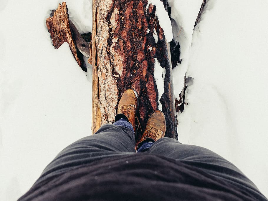 nieve, invierno, frío, calzado, zapatos, árbol, madera, aventura, al aire libre, sección baja
