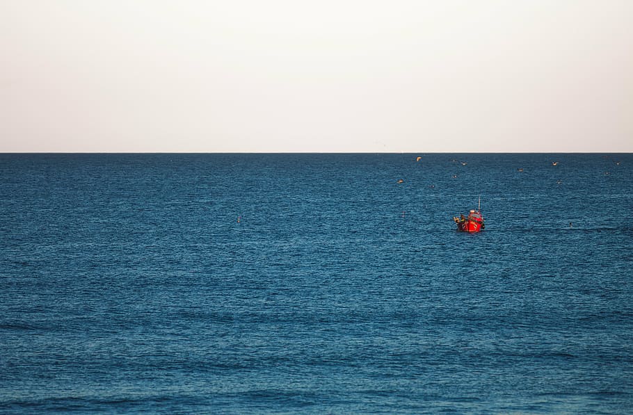red, boat, ocean photography, middle, sea, ocean, horizon, blue, water, birds