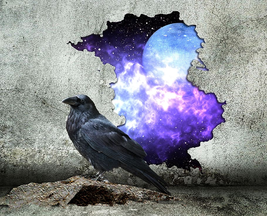 hole in the wall, wall, space, sci-fi, fantasy, raven, crow, bird, hole, stone