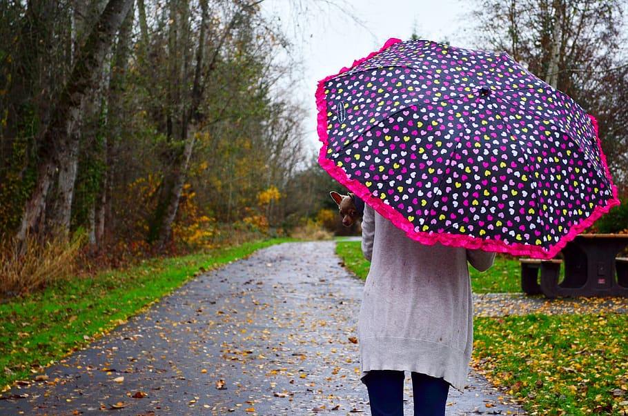 woman, umbrella, rain, girl, people, female, young, outdoor, park, trail