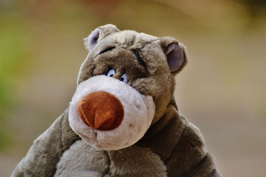 selective, focus photography, brown, bear, plush, toy, soft toy, disney, stuffed animal, cute