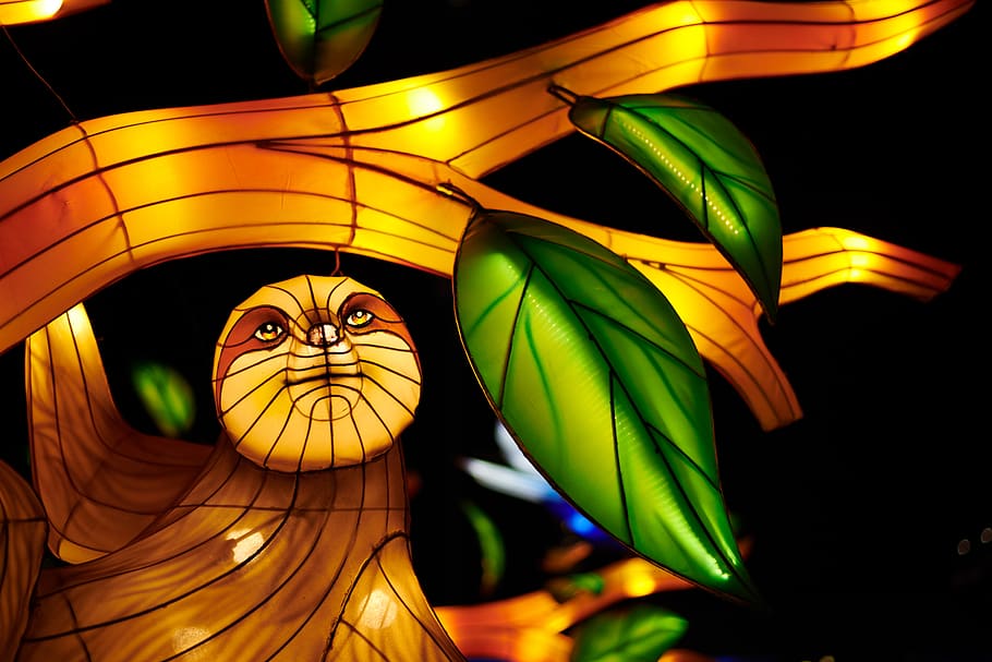 lanterna chinesa, arte, festival, atlanta, parque olímpico, bonito, cores, animais, data, tigre