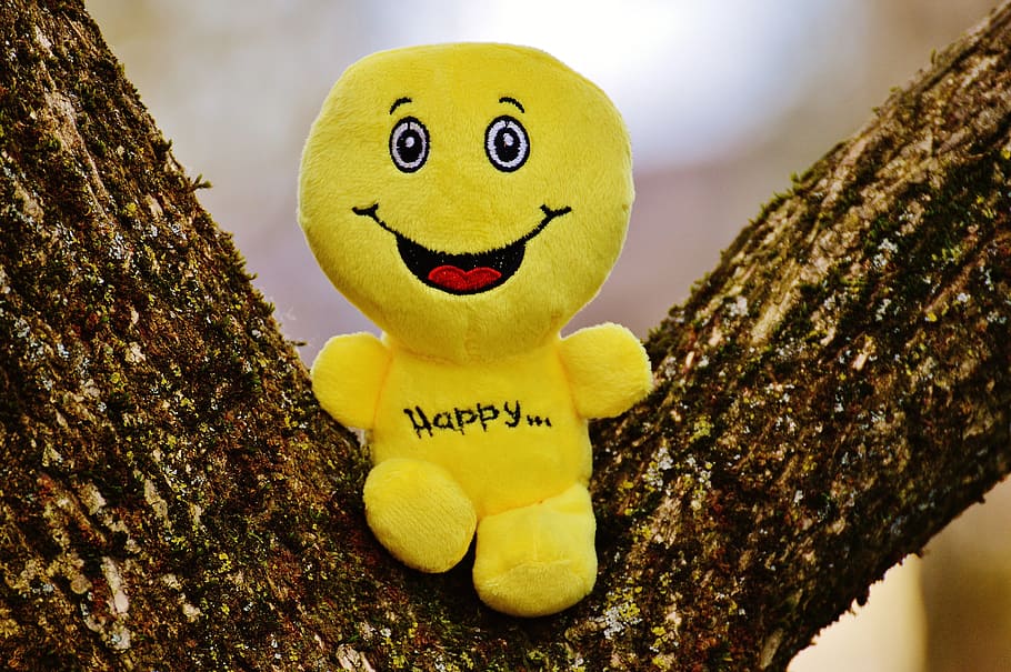 smiley emoji, plush, toy, tree trunk, taken, daytime, happy, smiley, laugh, funny