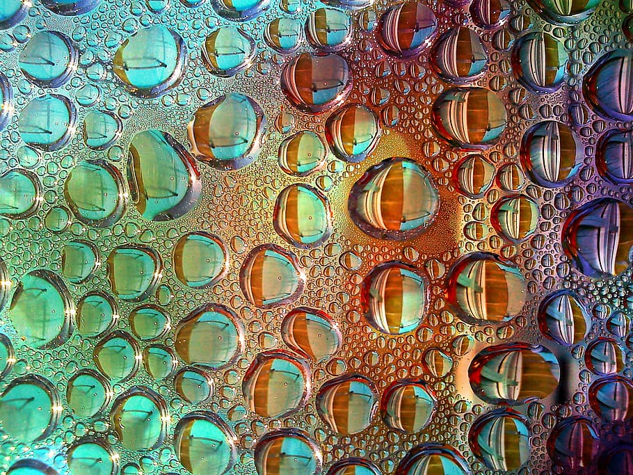 Shallow Focus Photograph Water Drops Shallow Focus Photograph Drop Of Water Raindrop Run