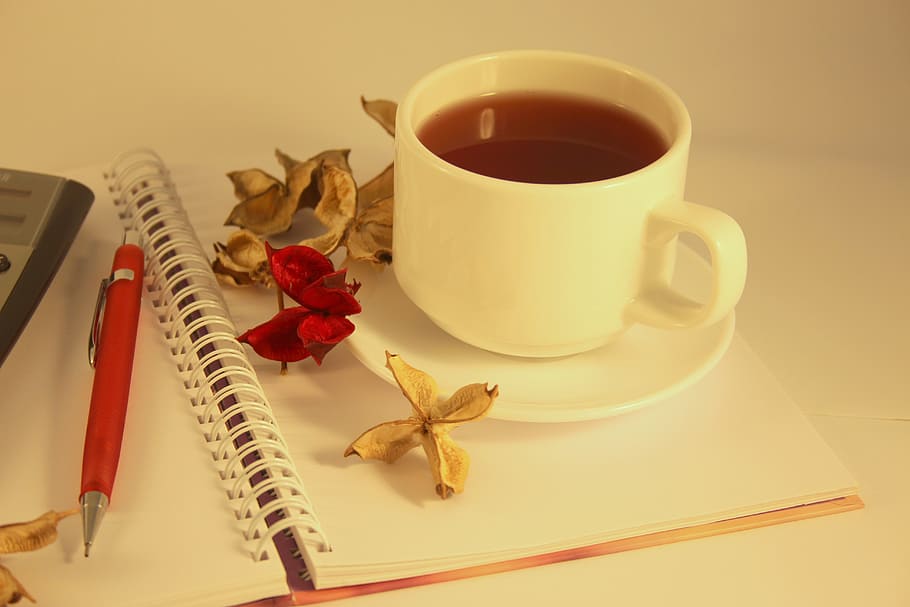 white, ceramic, teacup, saucer, notebook, flowers, tea, cup, drink, hot