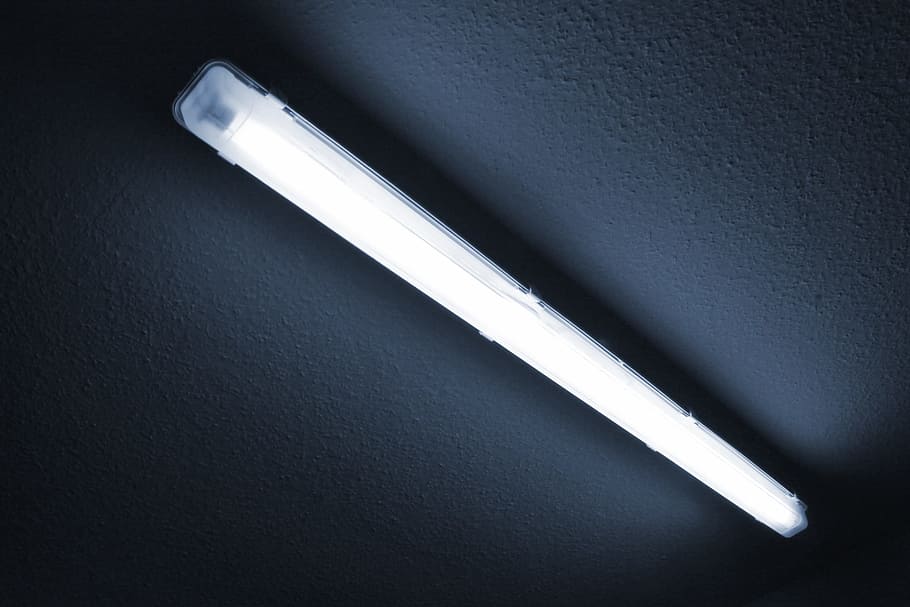 white, fluorescent, gray, surface, neon tube, neon light, blue, light, ceiling lamp, lamp