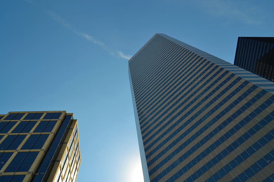 negócios, escritório, construção, finança, Houston, arranha céu, moderno, cidade, centro da cidade, distrito