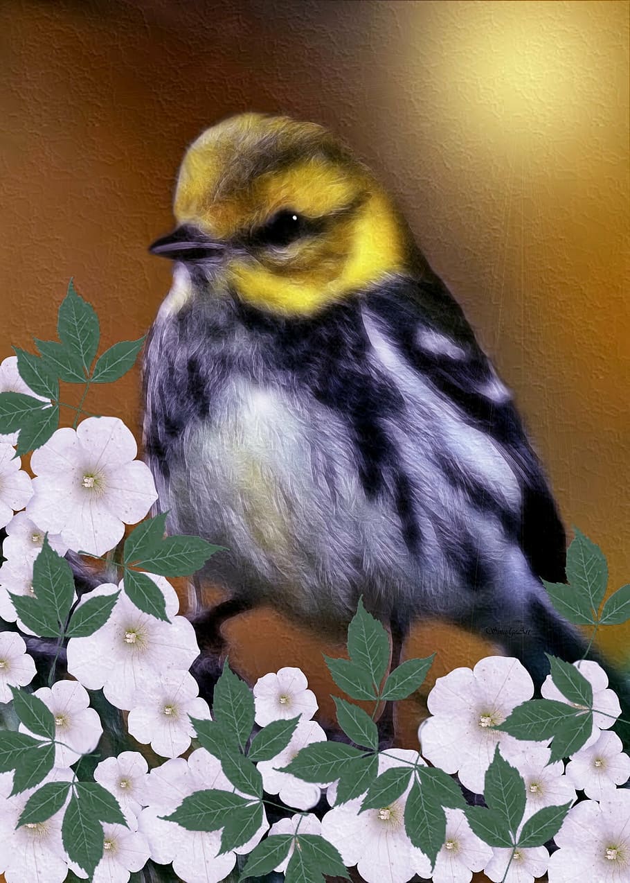 black-throated green warbler, dendroica virensdigital, digital painting, flower, art, bird, animal themes, animal, vertebrate, one animal