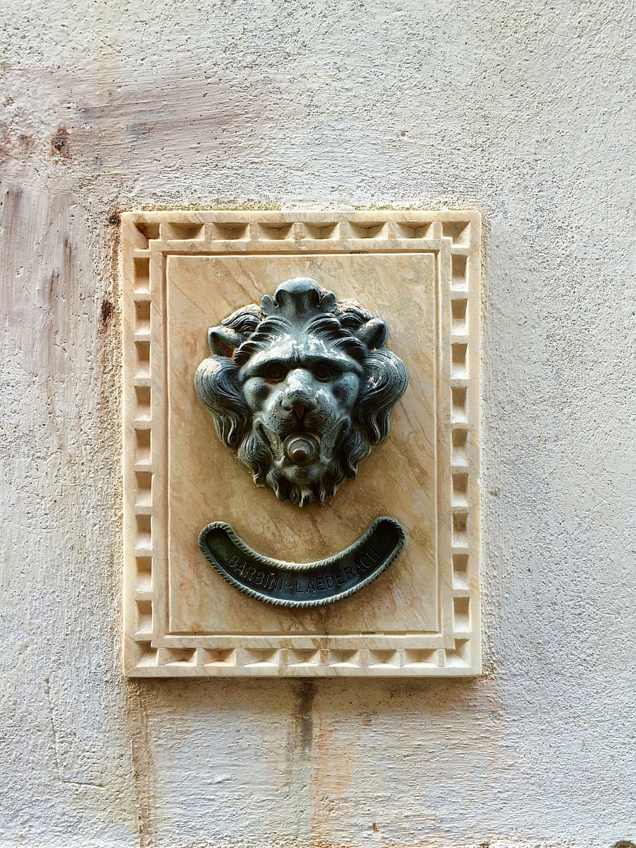 doorbell, venice, old, lion, vintage, creativity, art and craft, wall - building feature, animal, cat