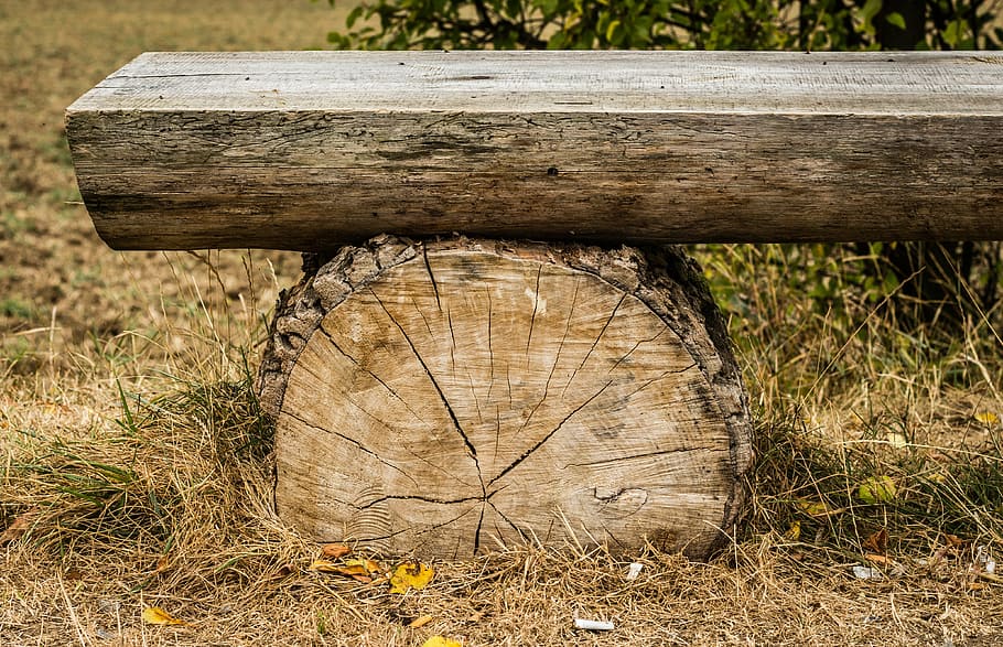 brown, tree log bench, bench, wooden, strain, session, sit, texture, autumn, atmosphere