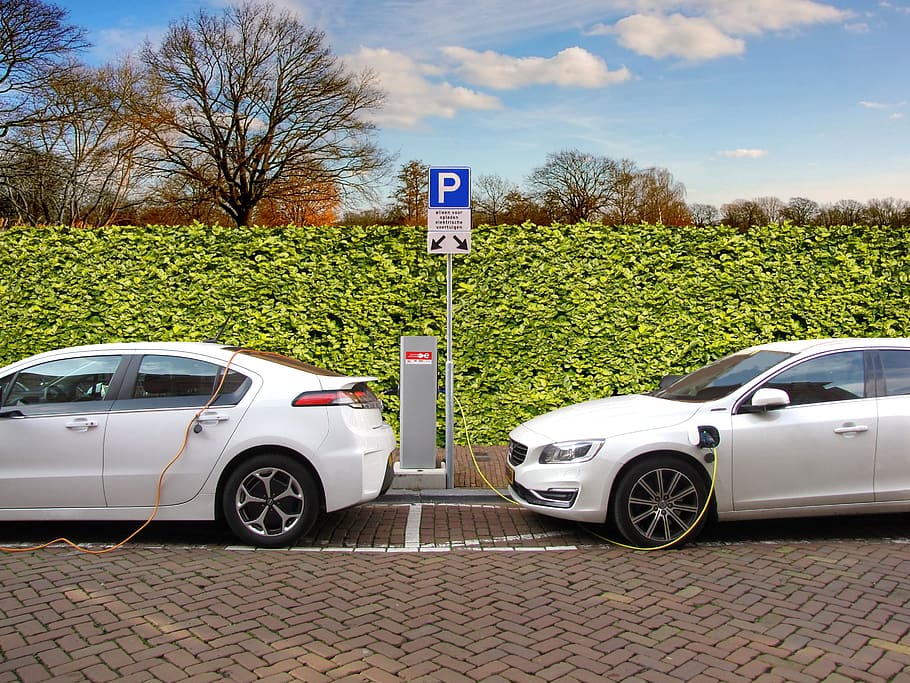 two, white, cars, parked, roadside, electric car, hybrid car, charging, charging post, charging station