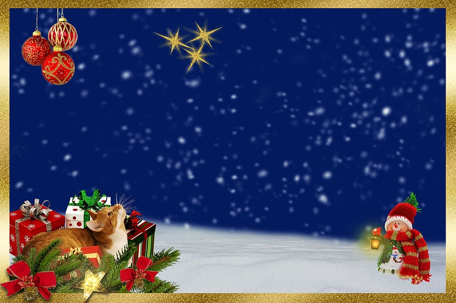 ilustrasi dekorasi natal, kucing, natal, tannenzweig, penggilingan, bintang, perhiasan natal, bola, hadiah, salju